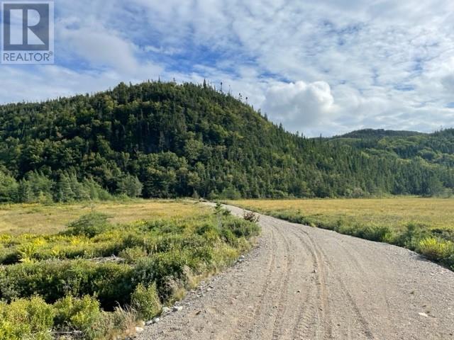 460 Route - White's Road, Gull Pond, Newfoundland & Labrador  A2N 2Y4 - Photo 4 - 1277727