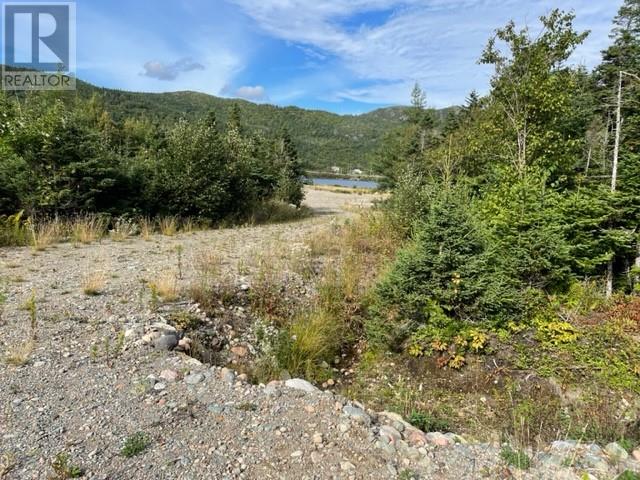 460 Route - White's Road, Gull Pond, Newfoundland & Labrador  A2N 2Y4 - Photo 5 - 1277727