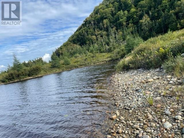 460 Route - White's Road, Gull Pond, Newfoundland & Labrador  A2N 2Y4 - Photo 6 - 1277727