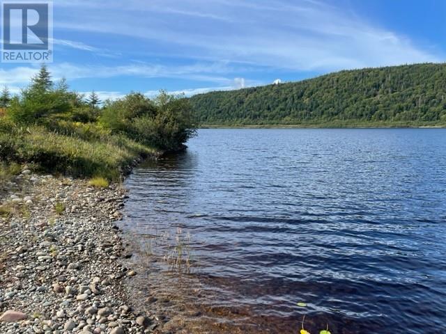 460 Route - White's Road, Gull Pond, Newfoundland & Labrador  A2N 2Y4 - Photo 7 - 1277727