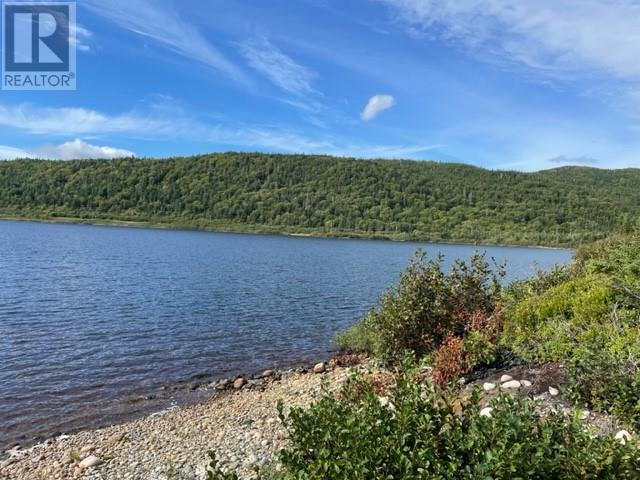 460 Route - White's Road, Gull Pond, Newfoundland & Labrador  A2N 2Y4 - Photo 8 - 1277727