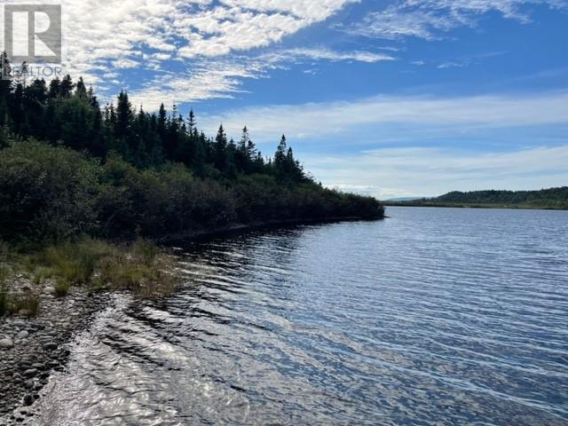 460 Route - White's Road, Gull Pond, Newfoundland & Labrador  A2N 2Y4 - Photo 9 - 1277727
