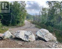 460 Route - White's Road, Gull Pond, Newfoundland & Labrador