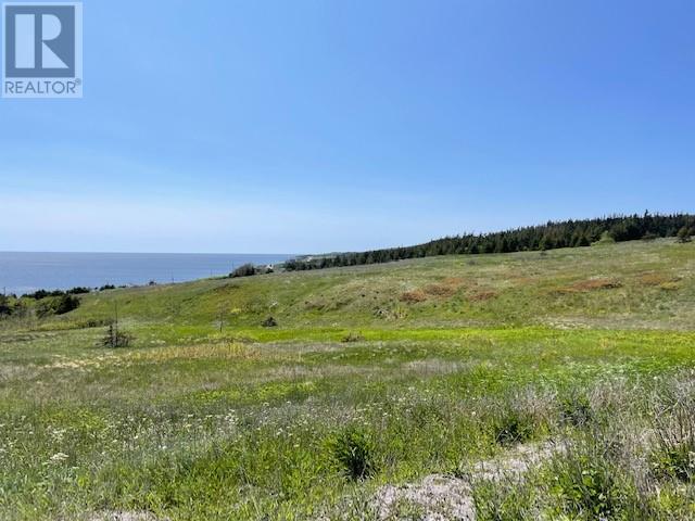 460 Main Route, Felix Cove, Newfoundland & Labrador  A0N 1T0 - Photo 2 - 1229362