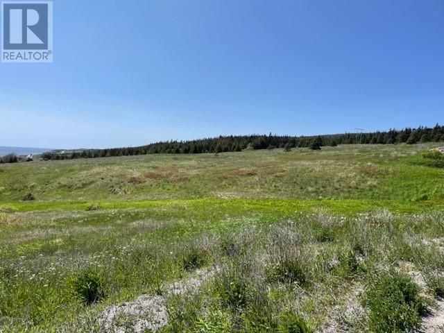 460 Main Route, Felix Cove, Newfoundland & Labrador  A0N 1T0 - Photo 3 - 1229362