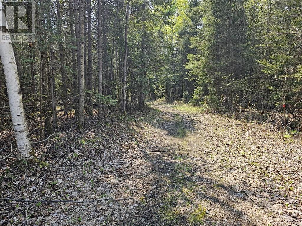 Lot 49 Sandy Point Road, Manitoulin Island, Ontario  P0P 1N0 - Photo 3 - 2124796