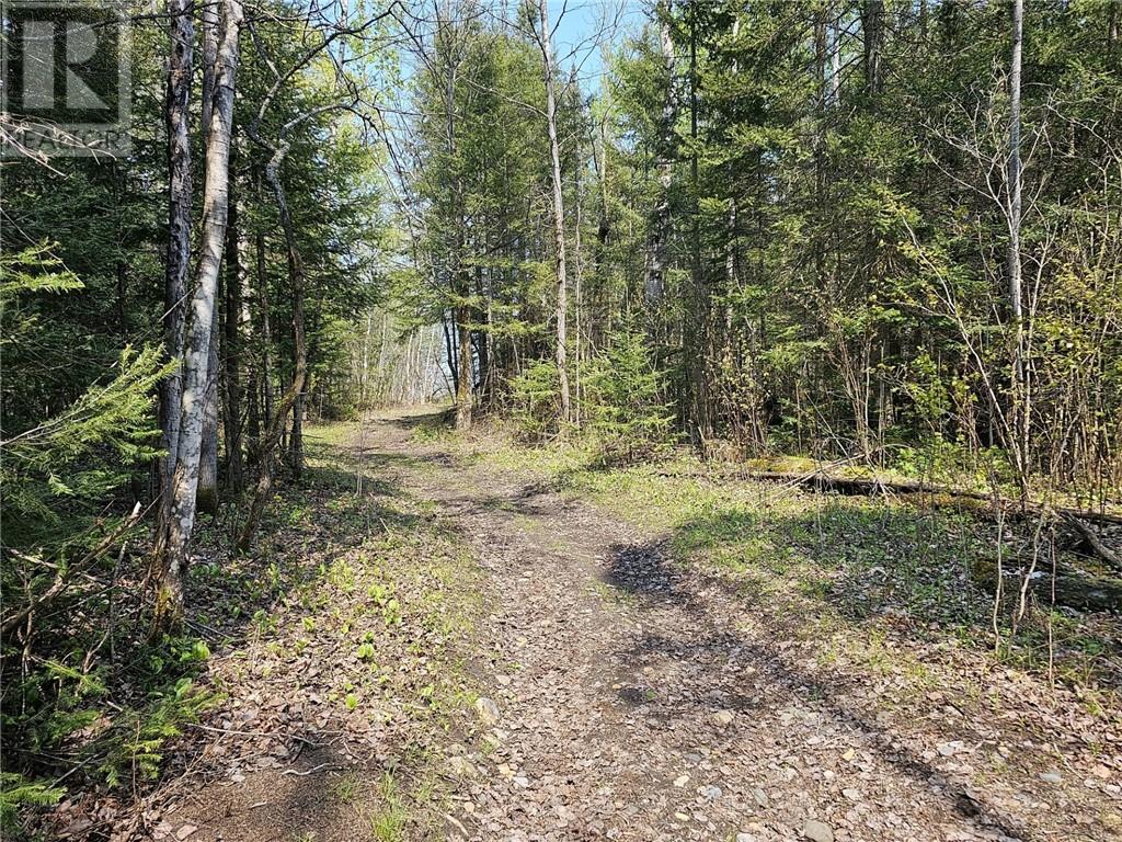 Lot 49 Sandy Point Road, Manitoulin Island, Ontario  P0P 1N0 - Photo 4 - 2124796