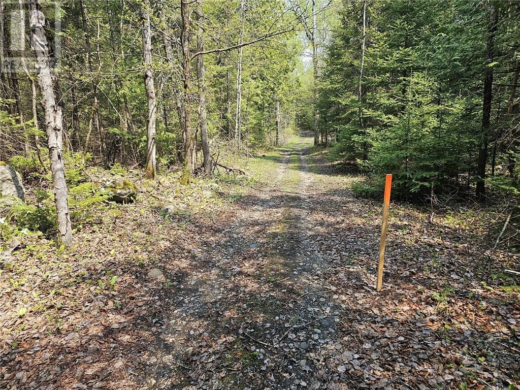 Lot 49 Sandy Point Road, Manitoulin Island, Ontario  P0P 1N0 - Photo 5 - 2124796