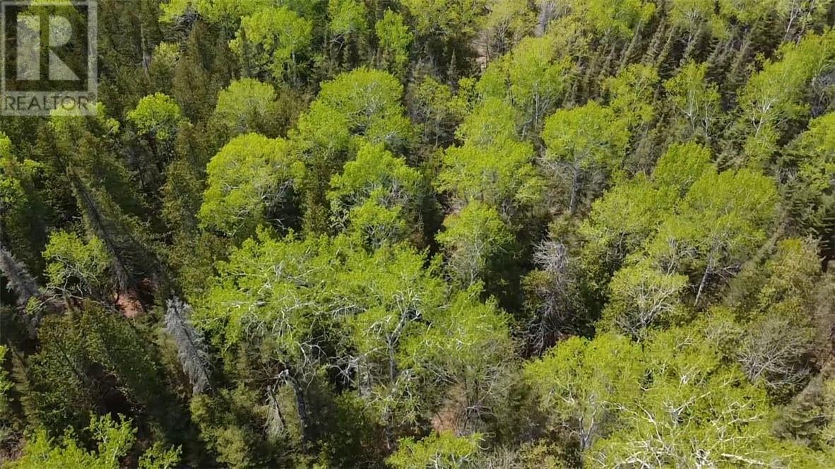 Lot 49 Sandy Point Road, Manitoulin Island, Ontario  P0P 1N0 - Photo 7 - 2124796