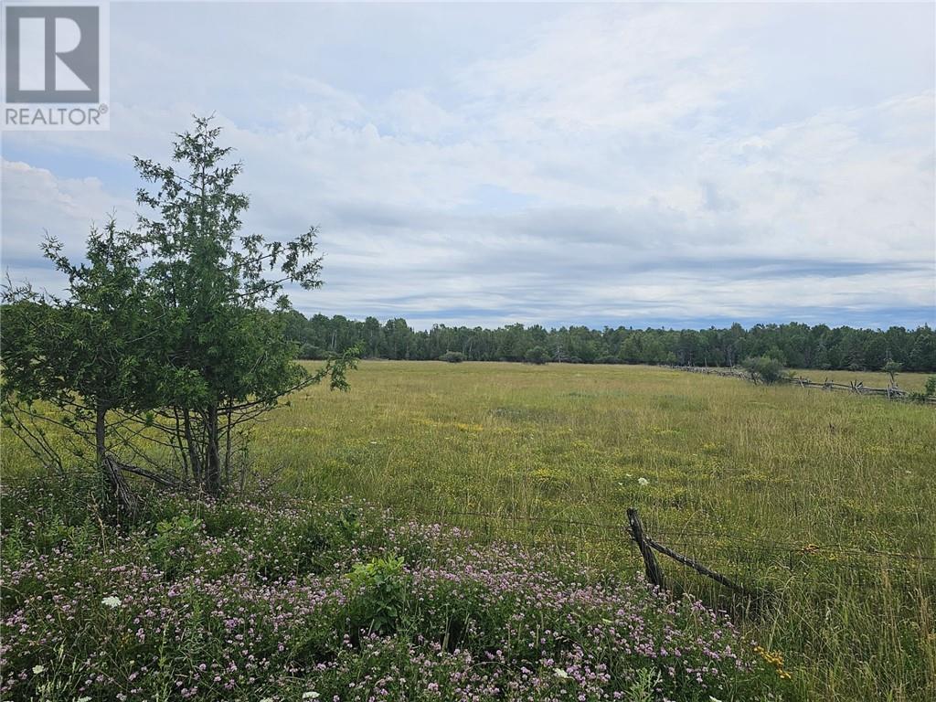 0 Red Lodge Rd, Assiginack, Ontario  P0P 1K0 - Photo 3 - 2120908