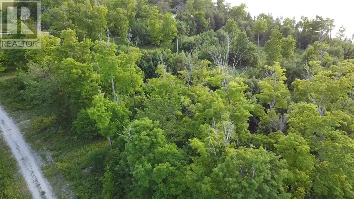 Lot 3 Green Bay Shores, Nemi, Ontario  P0P 1K0 - Photo 4 - 2117535