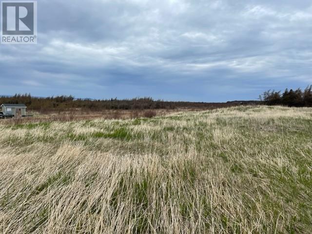 104-106 Main Road, Point Au Mal, Newfoundland & Labrador  A0N 1T0 - Photo 2 - 1250286