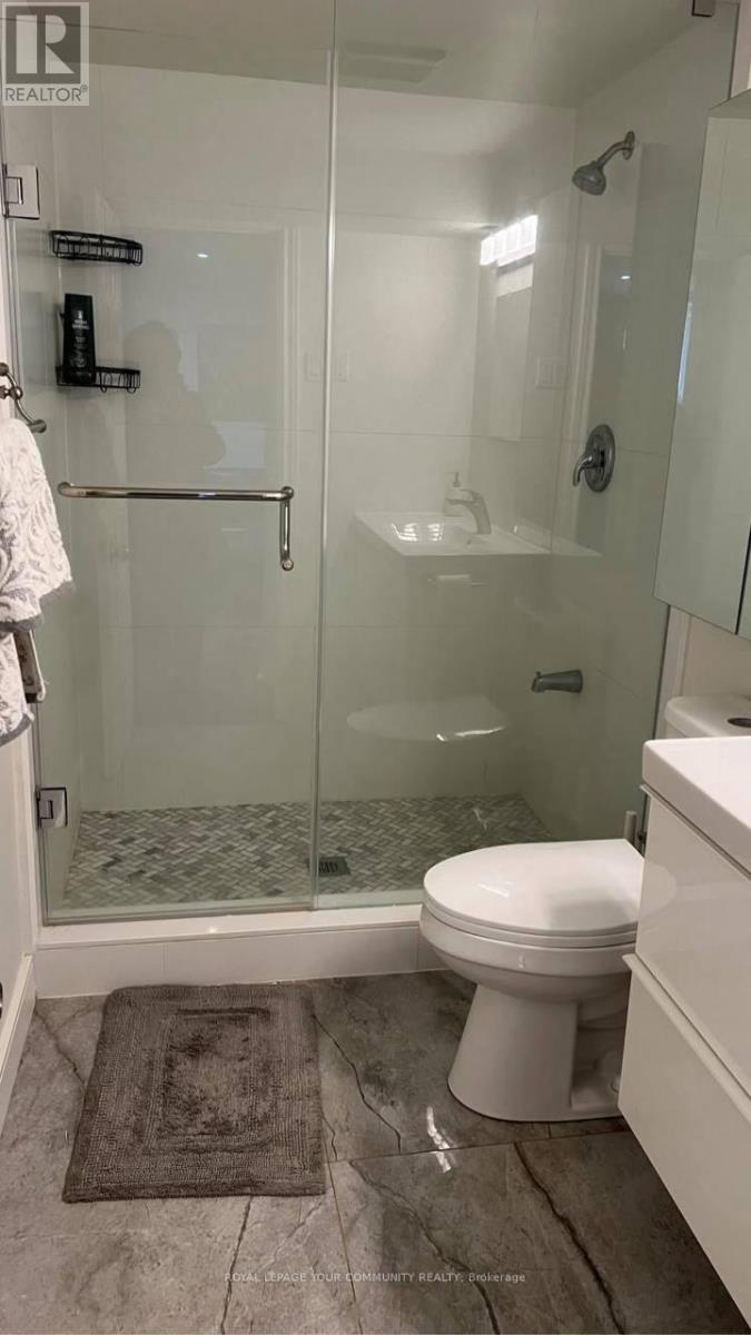 Basement - 299 Towercrest Drive, Newmarket (Central Newmarket), Ontario  L3Y 1C1 - Photo 12 - N12660538