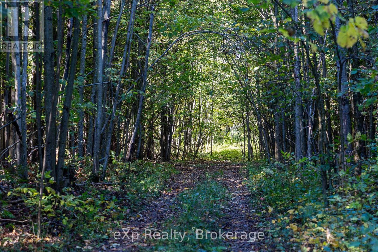 1/4 Lt3 Sideroad 3, Georgian Bluffs, Ontario  N0H 2N0 - Photo 17 - X12647448