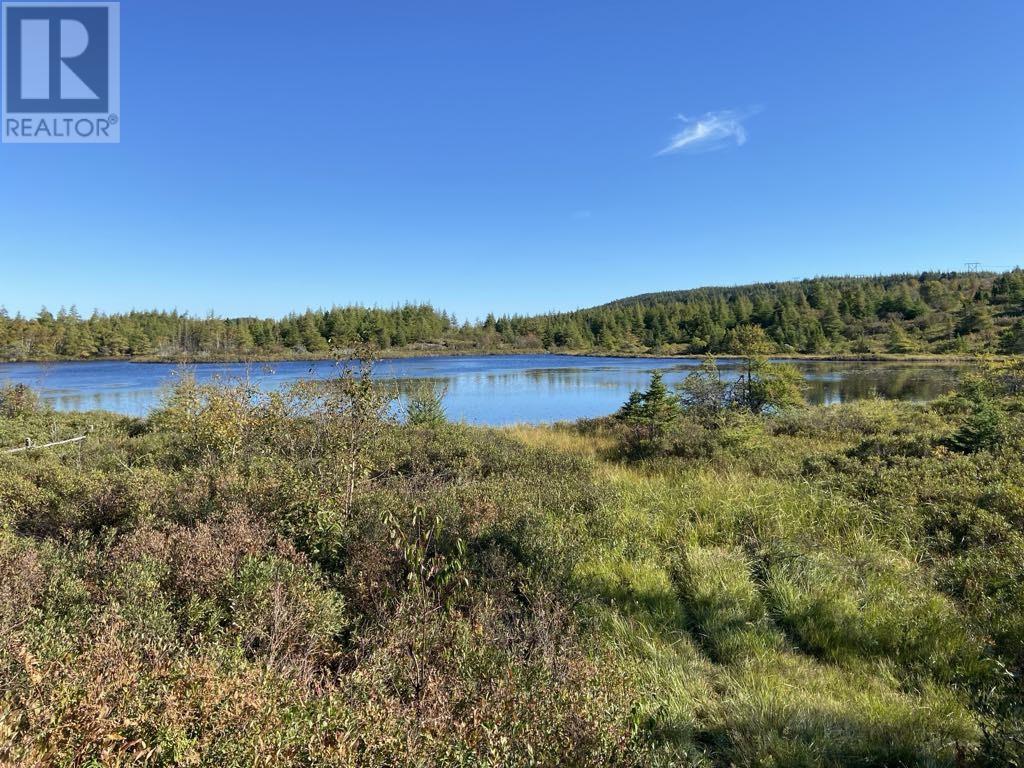 21 Reids Road, Conception Bay North, Newfoundland & Labrador  A0A 1G0 - Photo 10 - 1293431