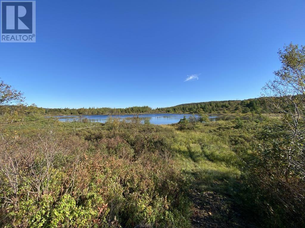 21 Reids Road, Conception Bay North, Newfoundland & Labrador  A0A 1G0 - Photo 11 - 1293431