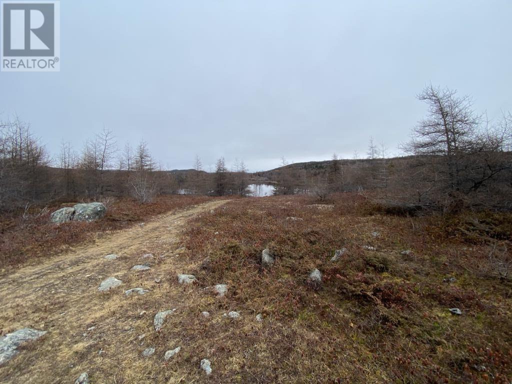 21 Reids Road, Conception Bay North, Newfoundland & Labrador  A0A 1G0 - Photo 13 - 1293431