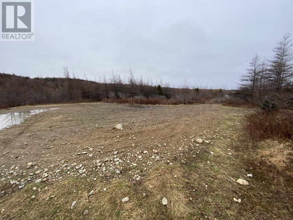 21 Reids Road, Conception Bay North, Newfoundland & Labrador  A0A 1G0 - Photo 14 - 1293431