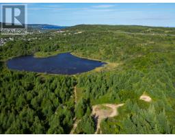 21 Reids Road, Conception Bay North, Newfoundland & Labrador