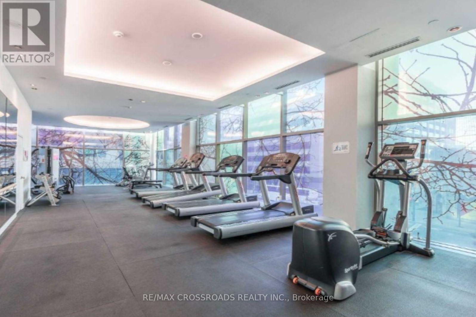 2009 - 38 Grenville Street, Toronto, Ontario  M4Y 1A5 - Photo 12 - C12660728