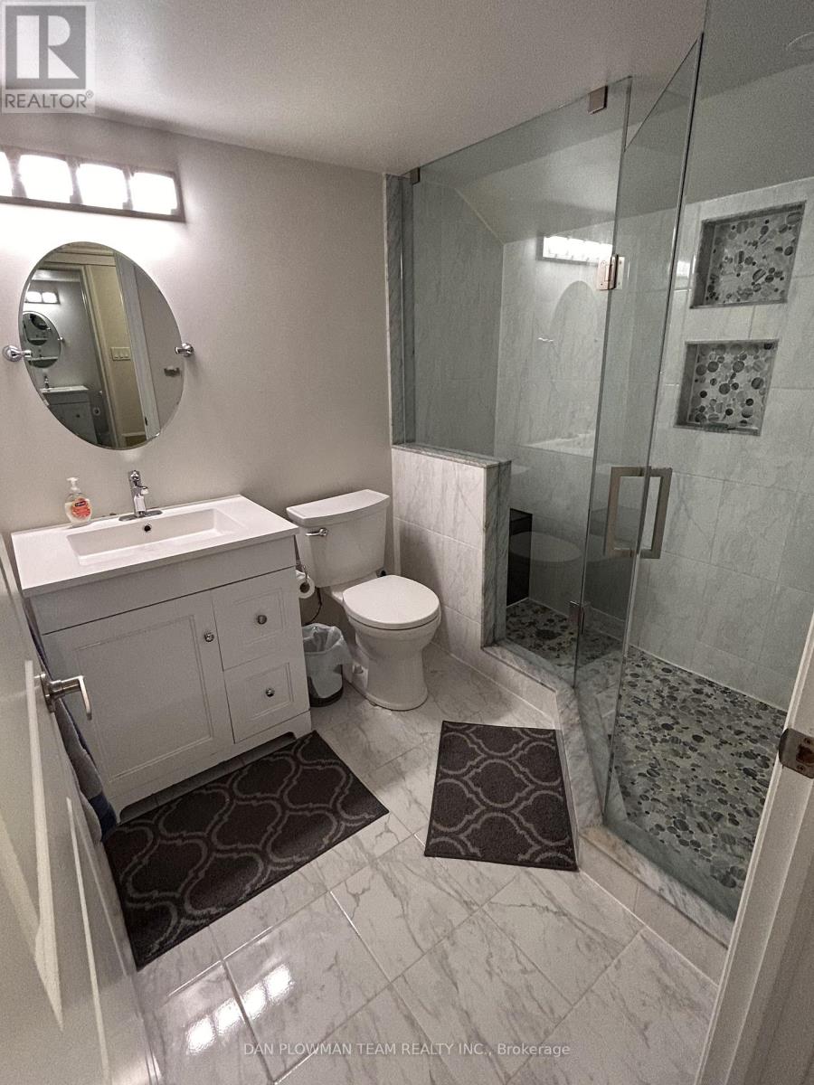 Basement - 28 Sheldon Drive, Ajax (Central), Ontario  L1T 0L9 - Photo 26 - E12660888