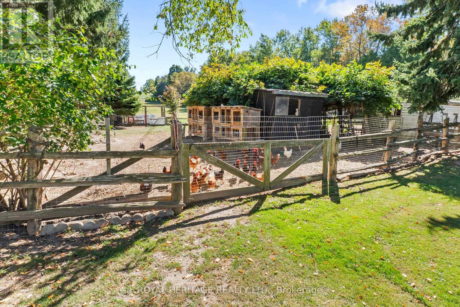 10629 County Rd 2 Road, Alnwick/haldimand, Ontario  K0K 2G0 - Photo 35 - X12660780