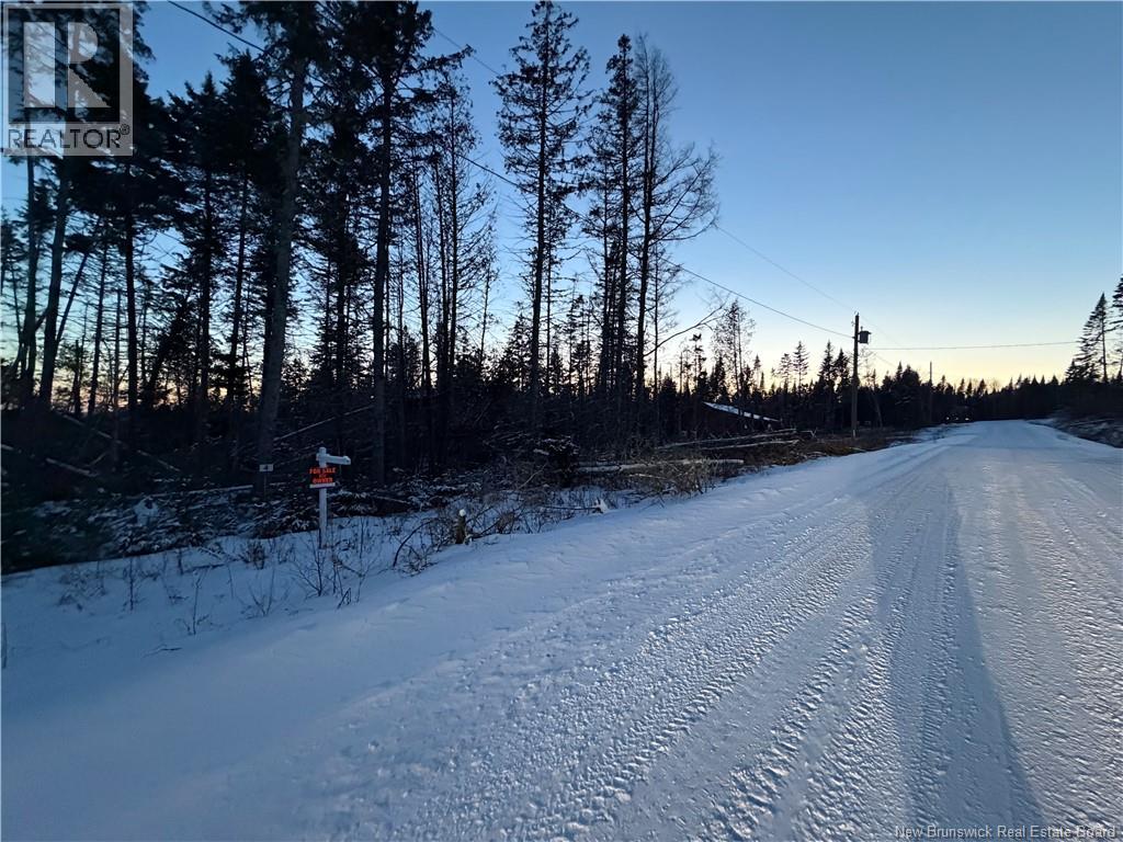 4 Slopeside Lane, Central Hainesville, New Brunswick  E6E 1E3 - Photo 1 - NB131515