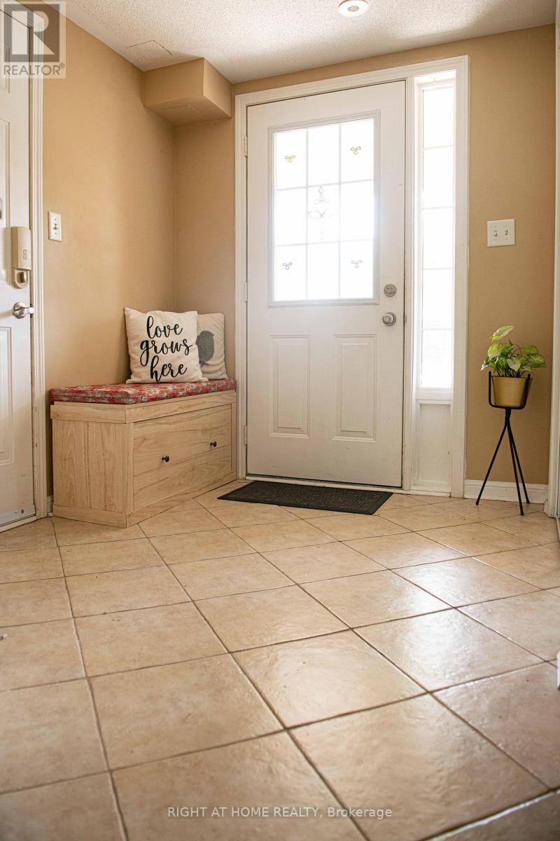 1159 Mcdowell Crescent, Milton, Ontario  L9T 6R6 - Photo 6 - W12661180