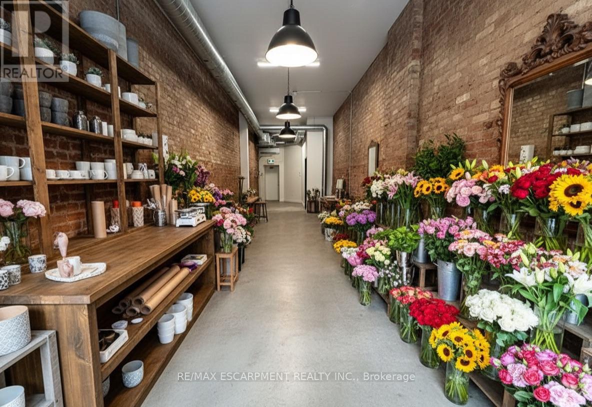 183 King Street E, Hamilton, Ontario  L8N 1B3 - Photo 14 - X12661486