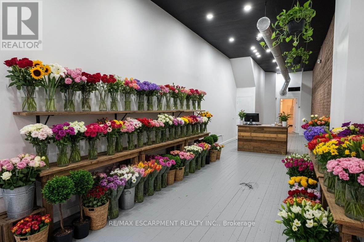 181 King Street, Hamilton, Ontario  L8N 1B3 - Photo 7 - X12661490