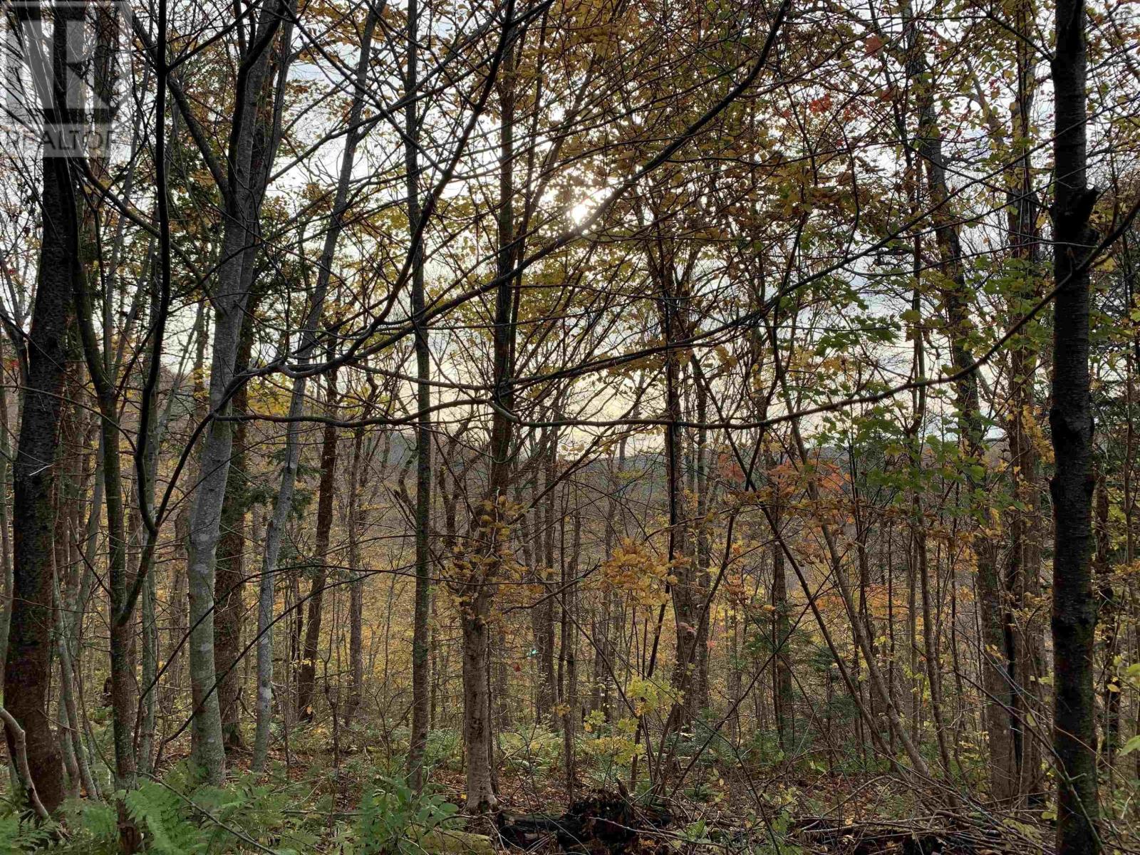 Lot Whycocomagh-Mabou Road, Skye Glen, Nova Scotia  B0E 3M0 - Photo 8 - 202526420