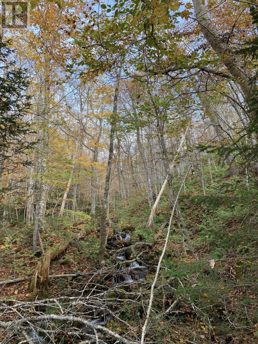 Lot Whycocomagh-Mabou Road, Skye Glen, Nova Scotia  B0E 3M0 - Photo 13 - 202526420