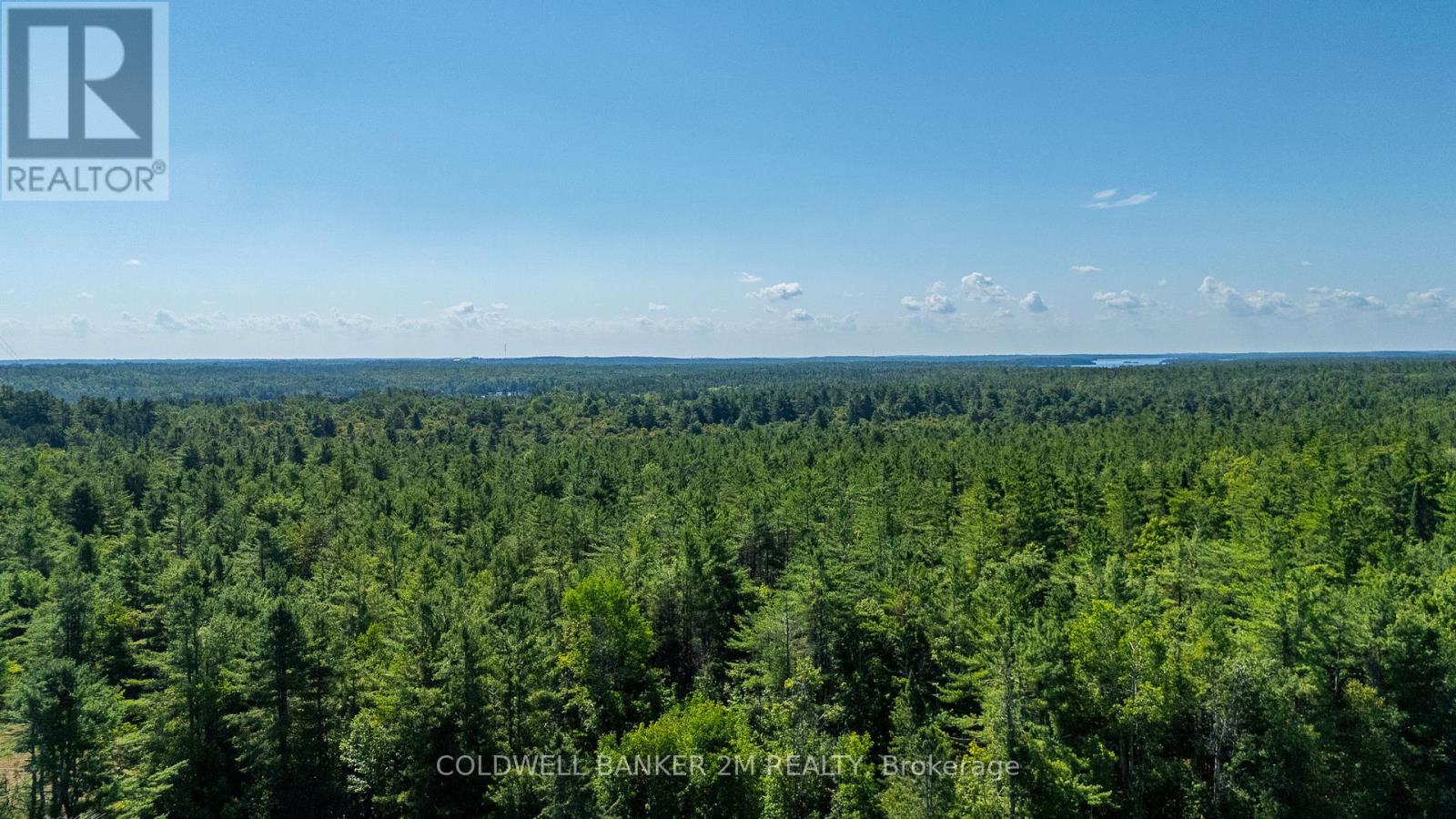 2812 County Rd 48, Kawartha Lakes, Ontario  K0M 1K0 - Photo 36 - X12661546