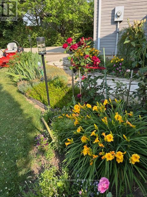 14 Poplar Street, Dutton/dunwich (Wallacetown), Ontario  N0L 2M0 - Photo 40 - X12661570