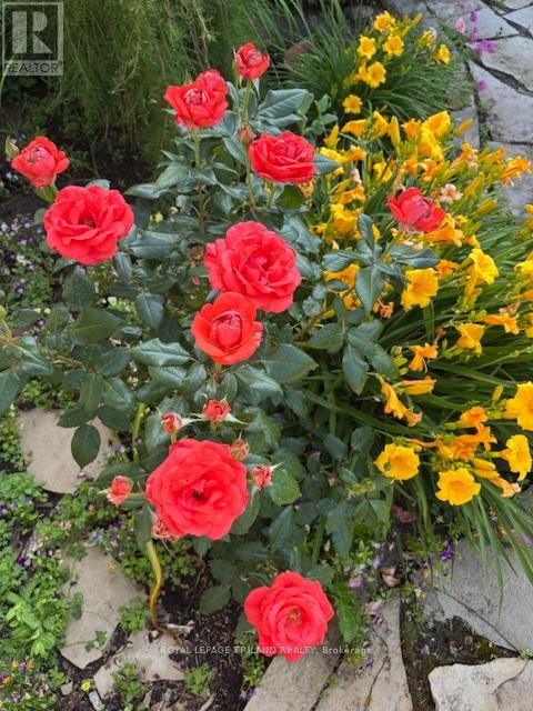 14 Poplar Street, Dutton/dunwich (Wallacetown), Ontario  N0L 2M0 - Photo 41 - X12661570