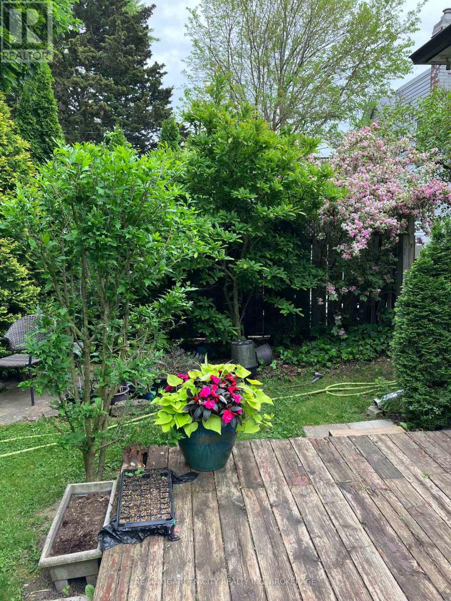 16 Ida Street, St. Catharines, Ontario  L2R 3X4 - Photo 37 - X12485392