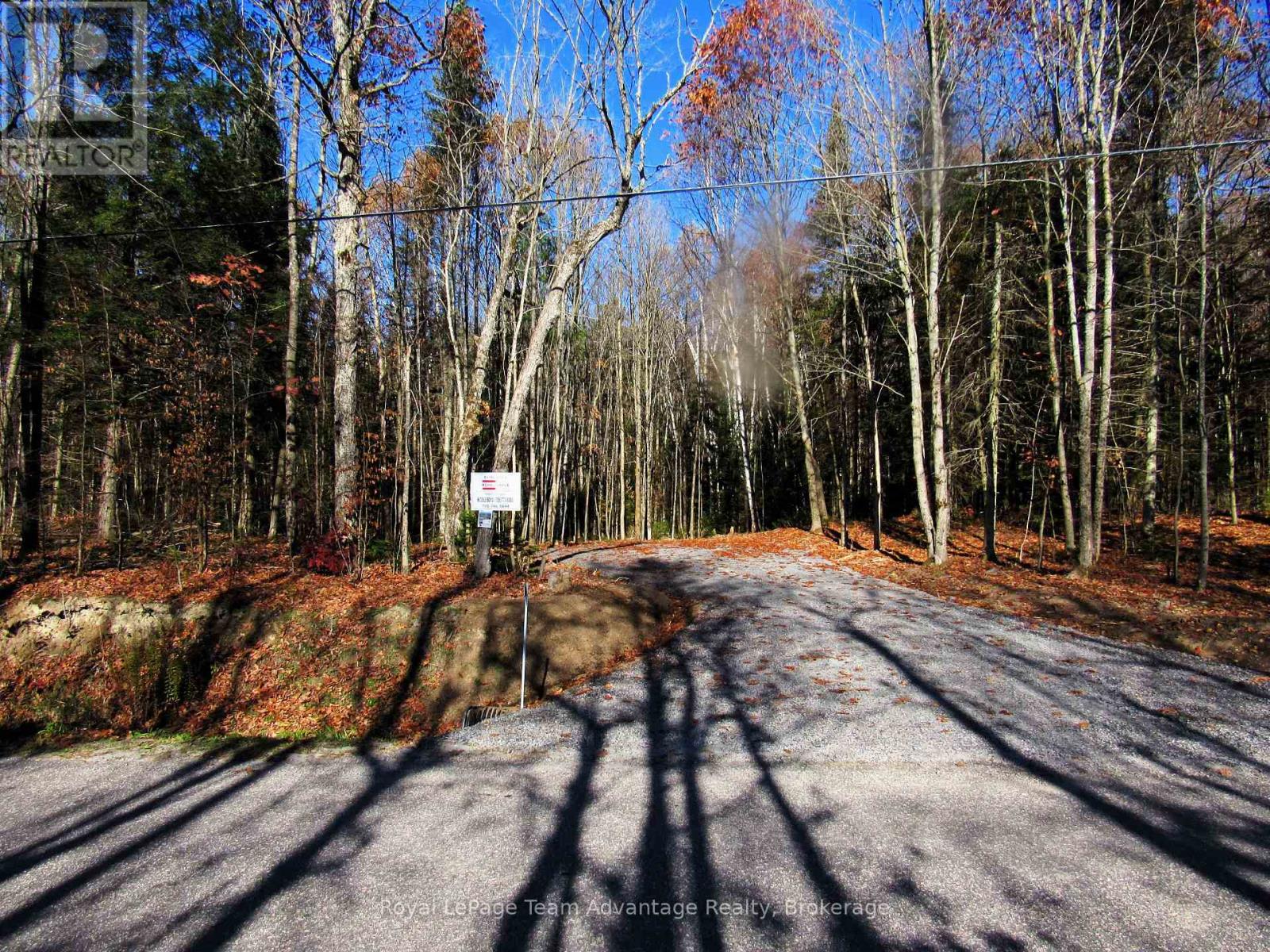 186 Turtle Lake Road, Seguin, Ontario  P0C 1J0 - Photo 6 - X12449658