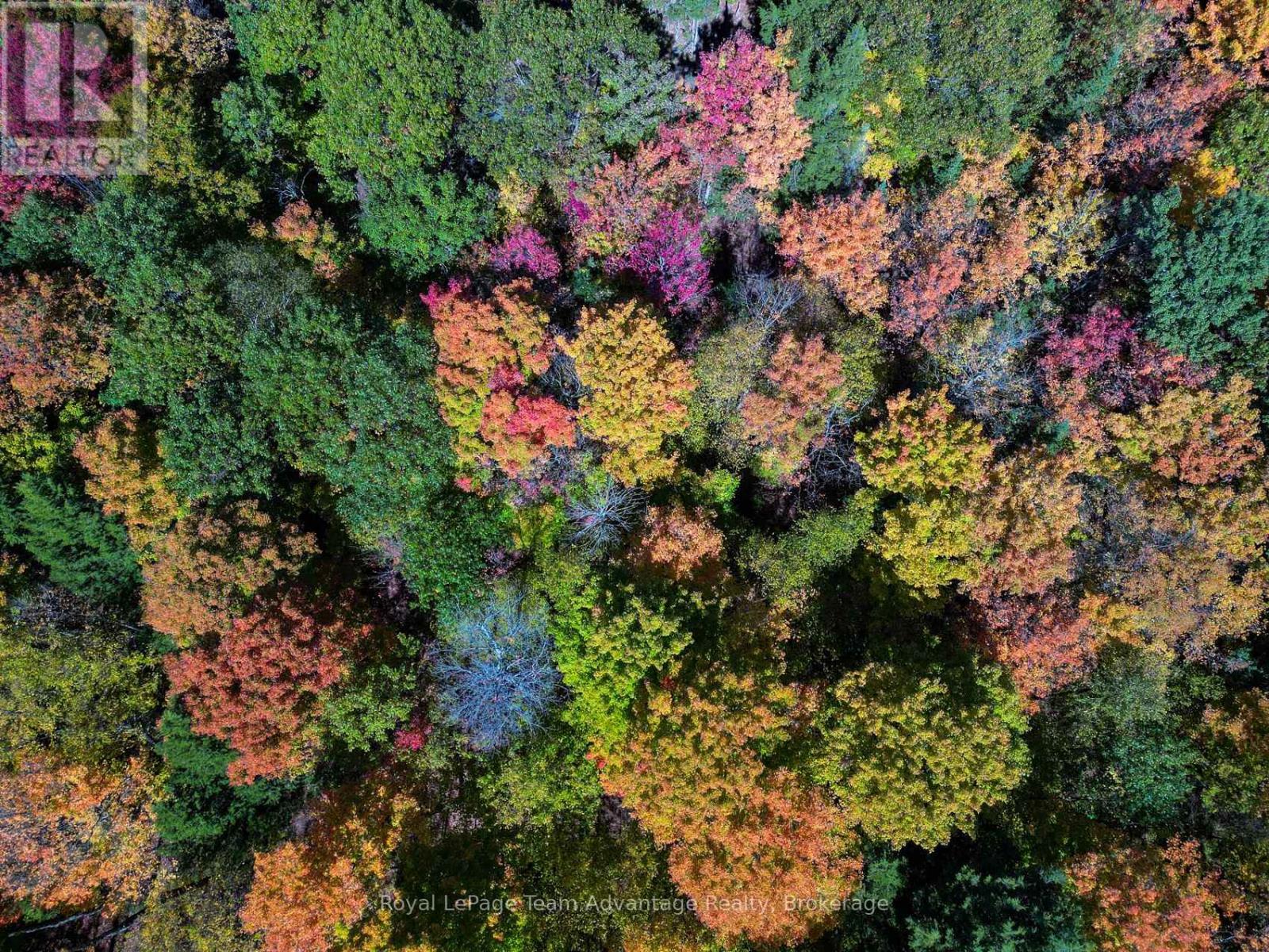 186 Turtle Lake Road, Seguin, Ontario  P0C 1J0 - Photo 26 - X12449658