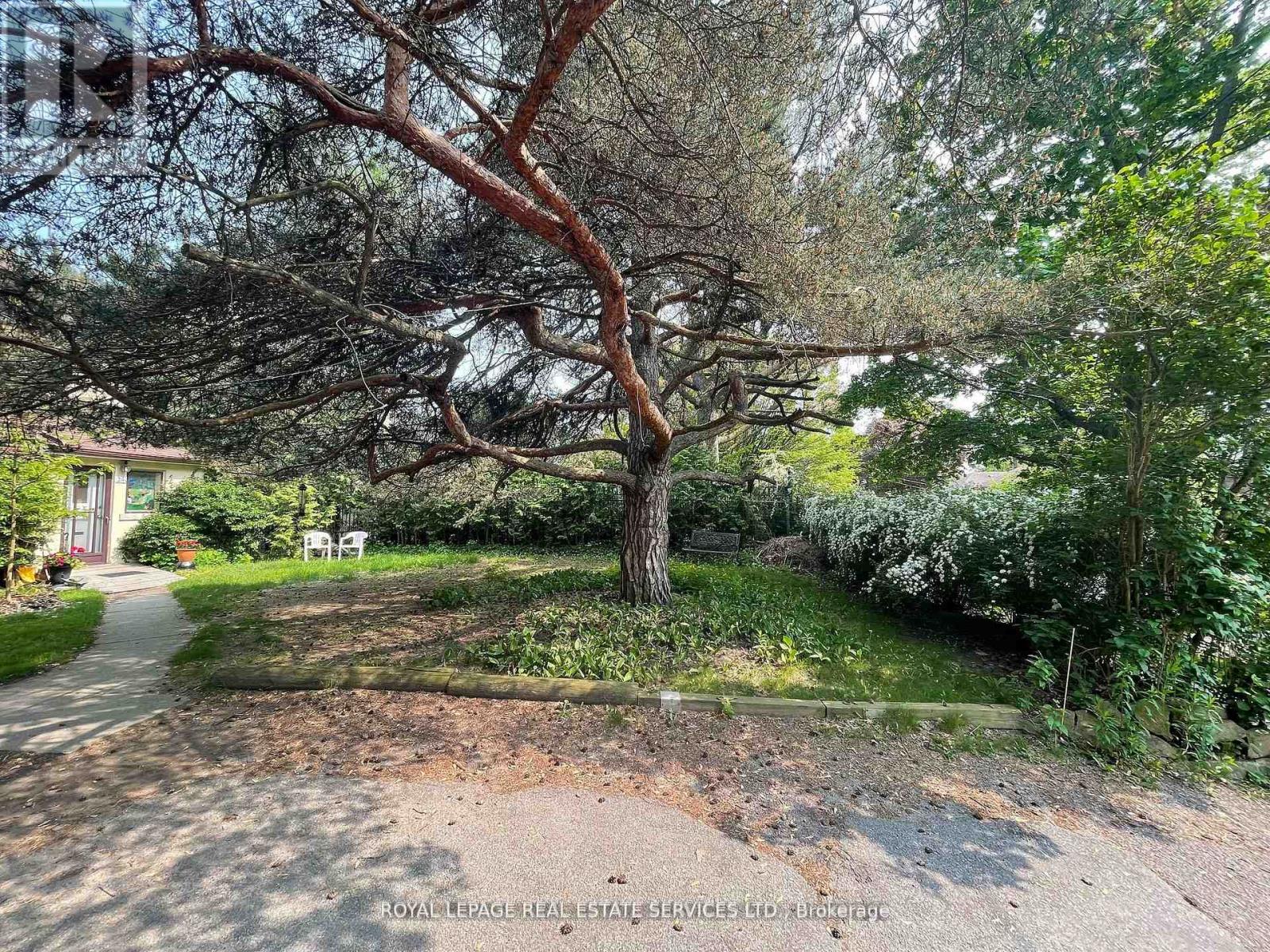 UPPER - 239 ELLIS AVENUE, Toronto, Ontario