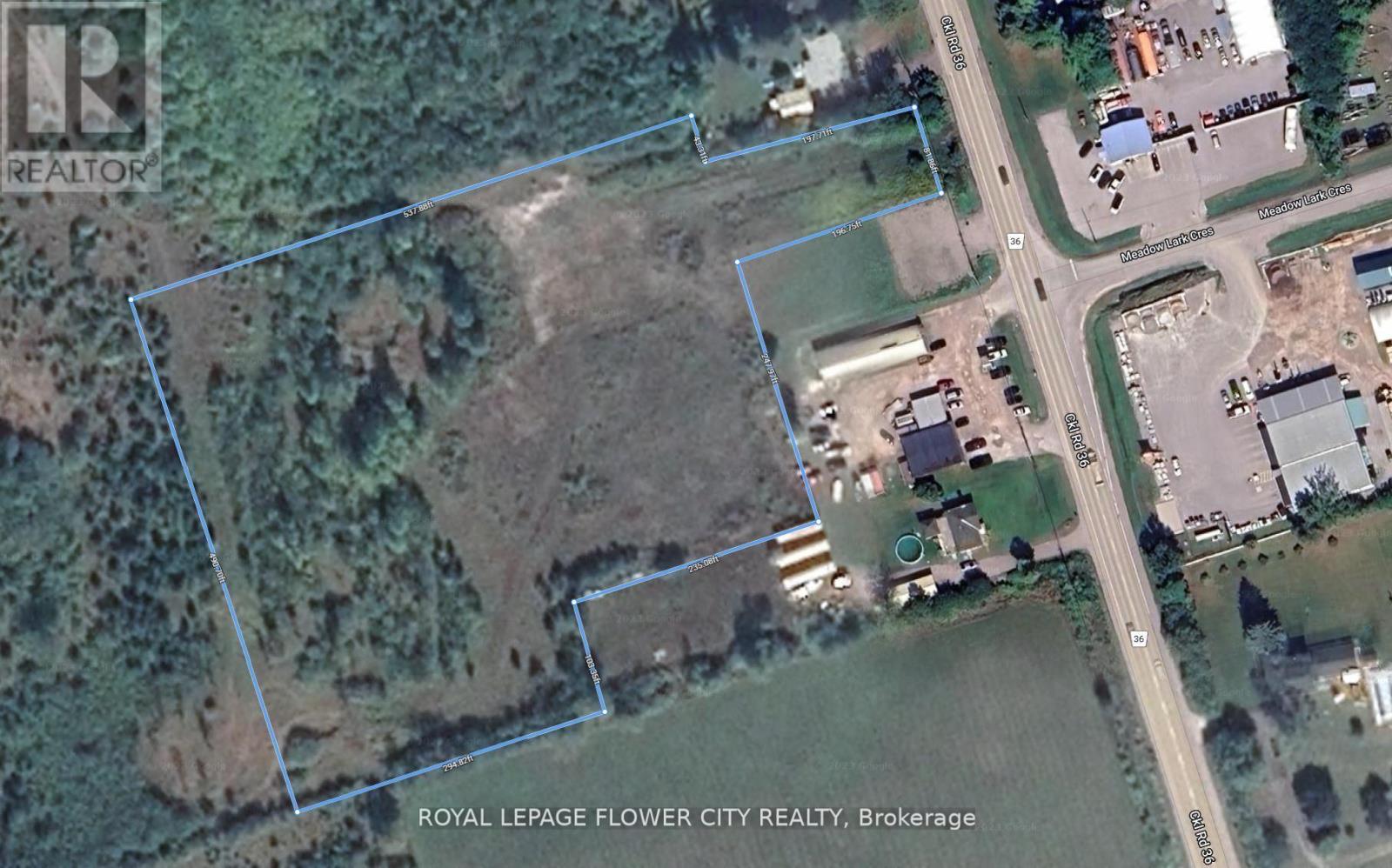 3381 Highway 36, Kawartha Lakes, Ontario  K0M 1A0 - Photo 5 - X12661608