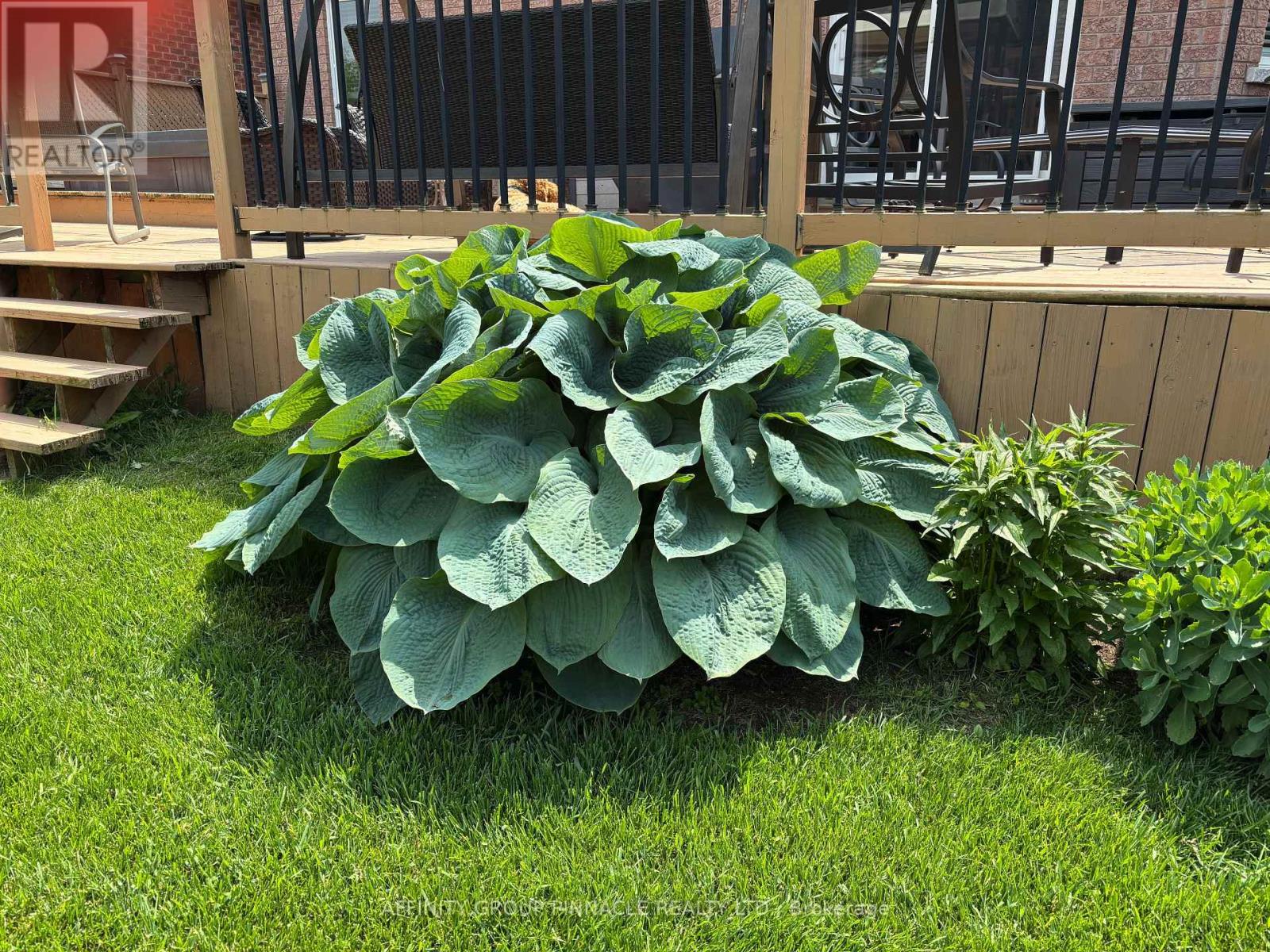 8 Horton Place, Kawartha Lakes, Ontario  K9V 0C2 - Photo 50 - X12661864