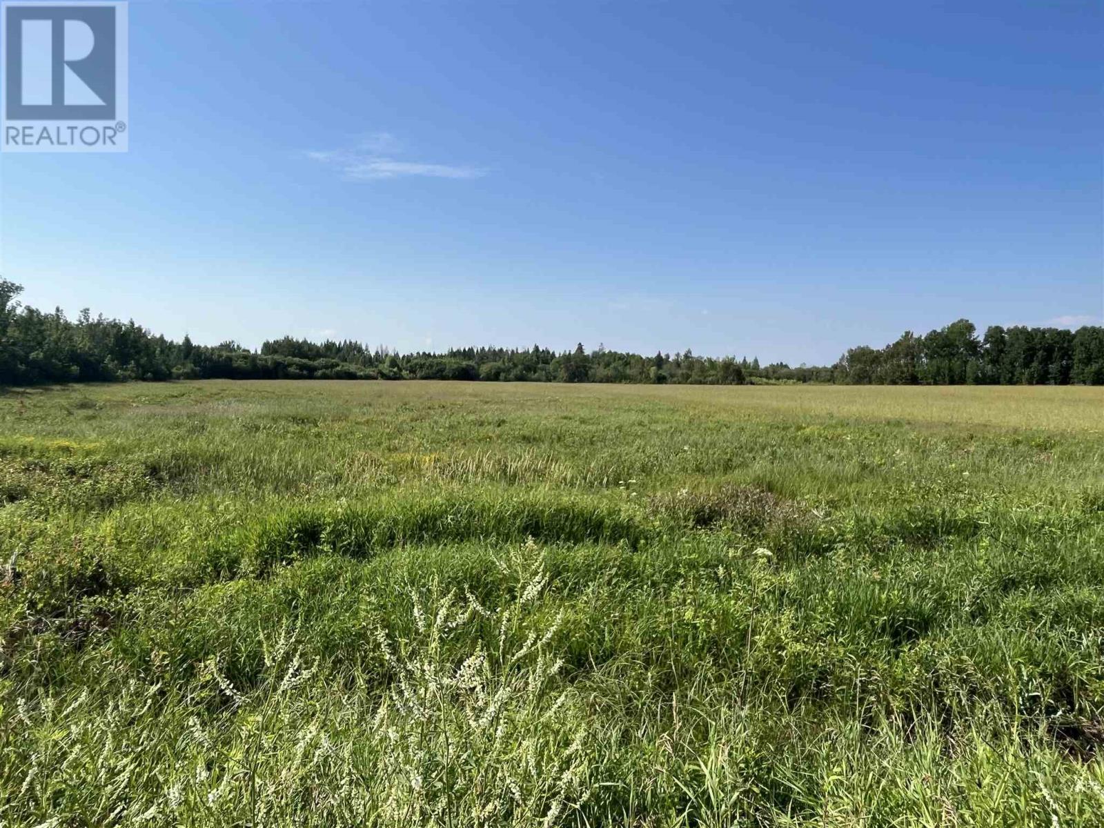 619 Cameron Road, Stratton, Ontario  P0W 1N0 - Photo 39 - TB252082