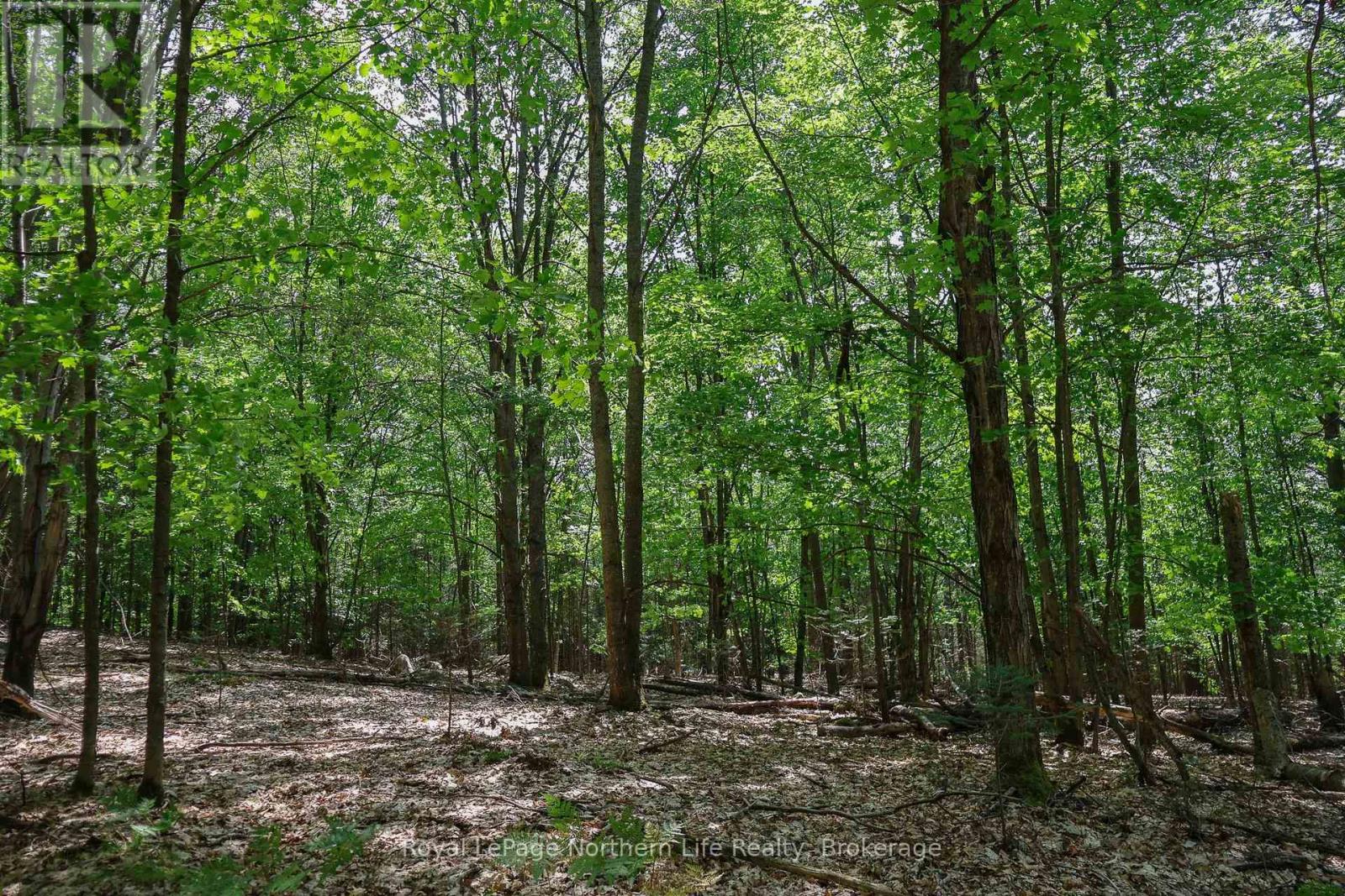 Lot 12 South Shore Road, East Ferris, Ontario  P0H 1B0 - Photo 3 - X12661960