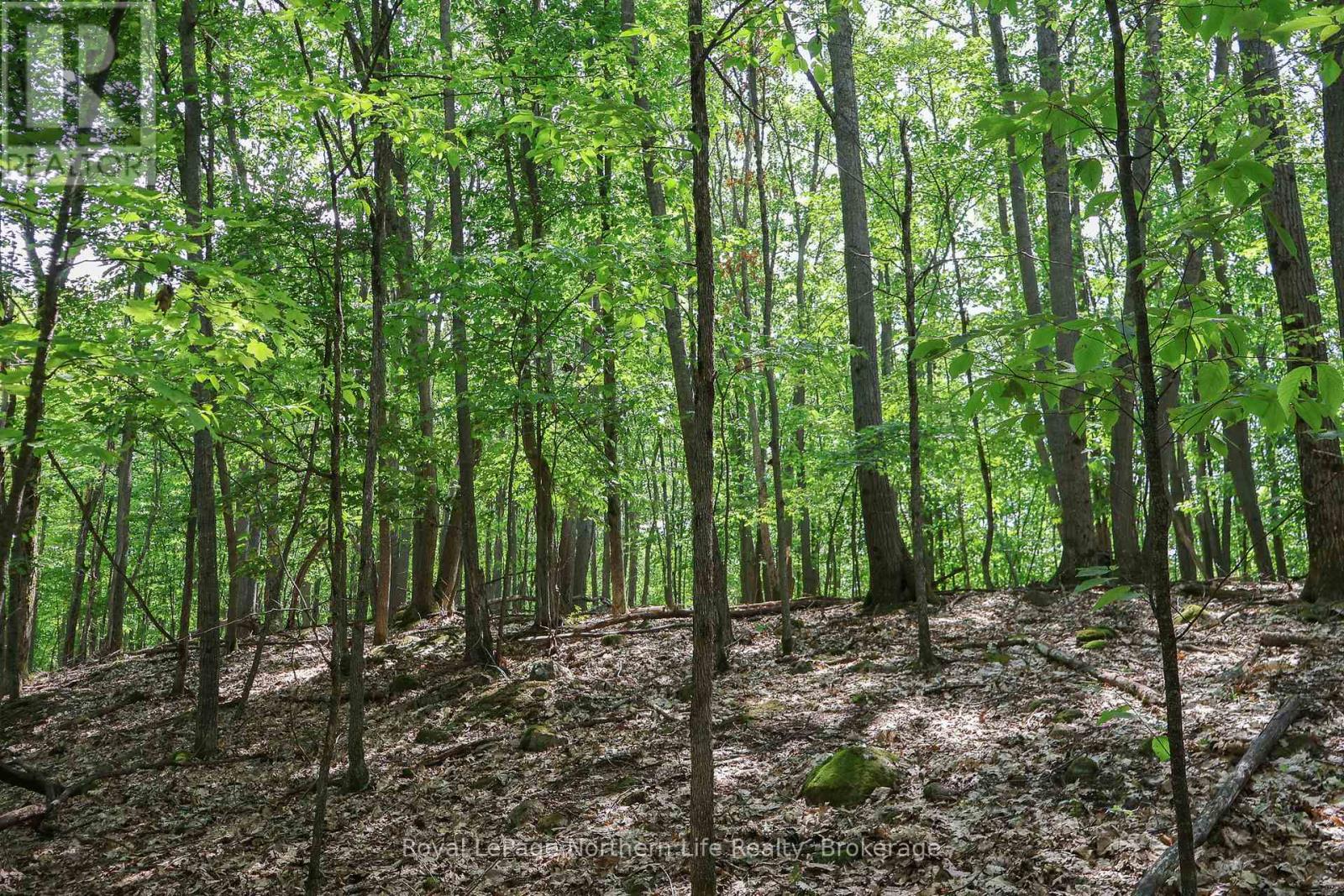 Lot 12 South Shore Road, East Ferris, Ontario  P0H 1B0 - Photo 4 - X12661960