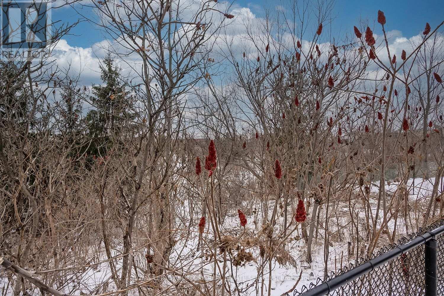 2105 Falling Green Drive, Oakville, Ontario  L6M 0G1 - Photo 30 - W12662056