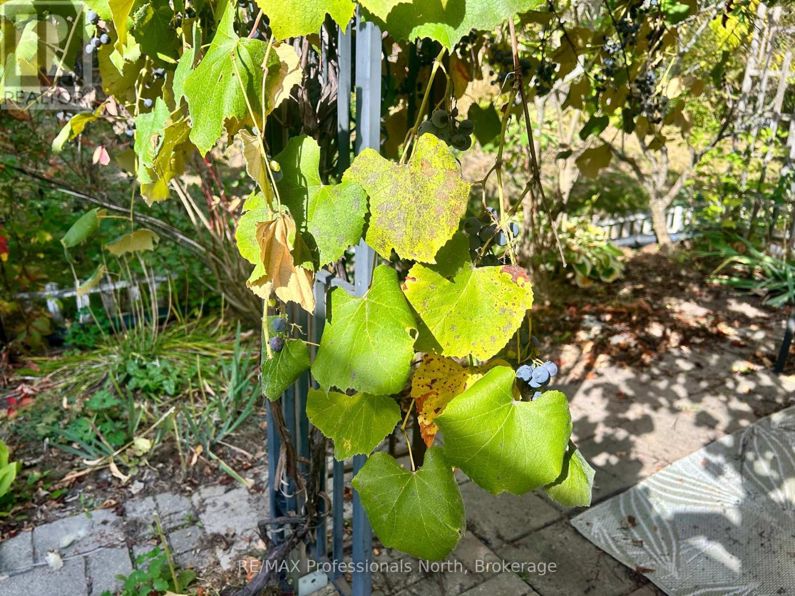 1406 Hancox Court, Peterborough (Monaghan Ward 2), Ontario  K9K 2M2 - Photo 41 - X12464794