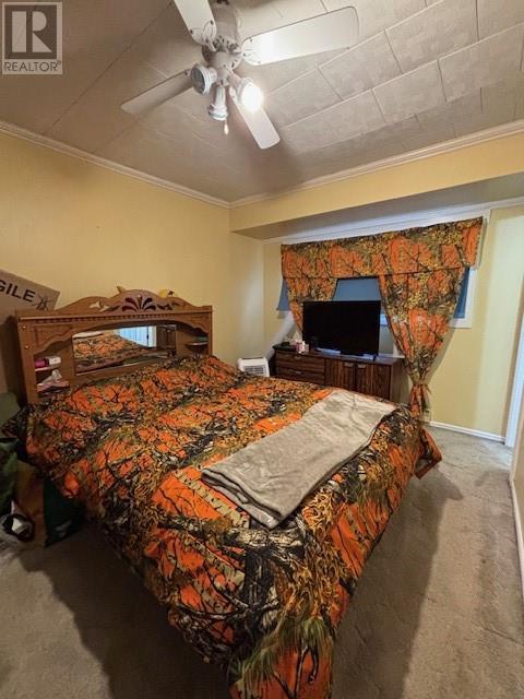 6 Seaview Crescent E, New Wes Valley, Newfoundland & Labrador  A0G 1B0 - Photo 14 - 1293455