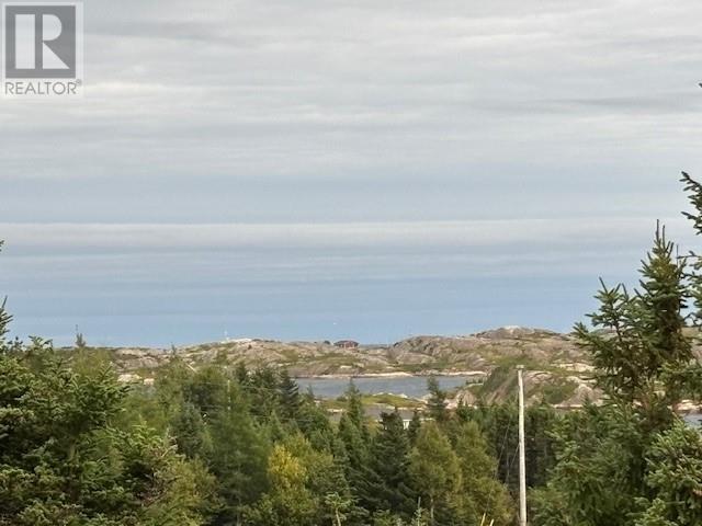 6 Seaview Crescent E, New Wes Valley, Newfoundland & Labrador  A0G 1B0 - Photo 2 - 1293455