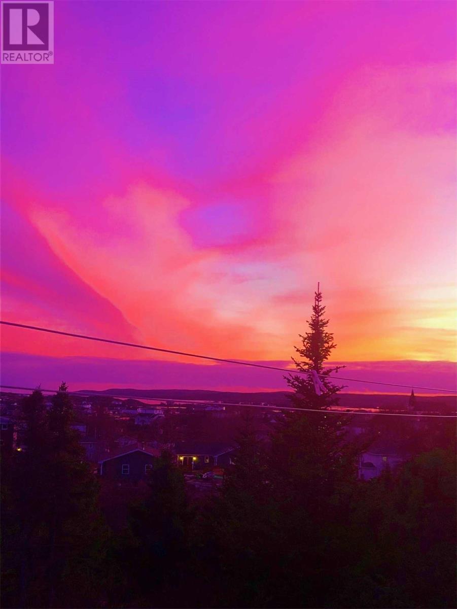 6 Seaview Crescent E, New Wes Valley, Newfoundland & Labrador  A0G 1B0 - Photo 25 - 1293455