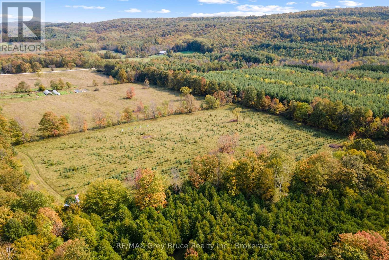 3476 Garden Of Eden Road, Clearview, Ontario  L0M 1G0 - Photo 46 - S12660608